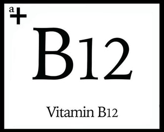 Vitamin B12 - anatomē