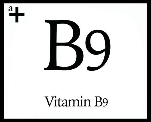 Vitamin B9 - anatomē