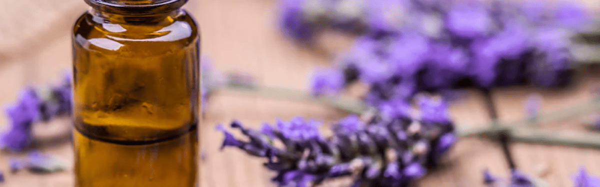 Benefits of Lavender Oil for Mental Health - anatomē
