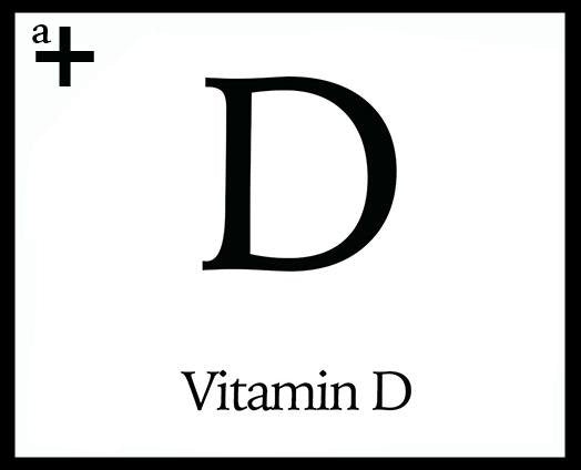 Vitamin D - anatomē