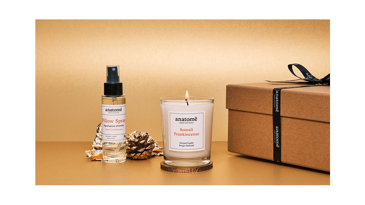 Insights #3: Wellbeing through the Holidays - anatomē
