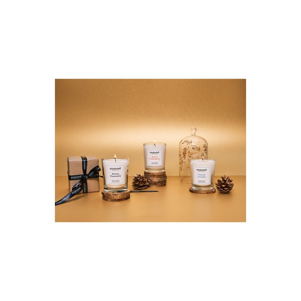 Insights #4: The Power of Candlelight for your Circadian Rhythm - anatomē
