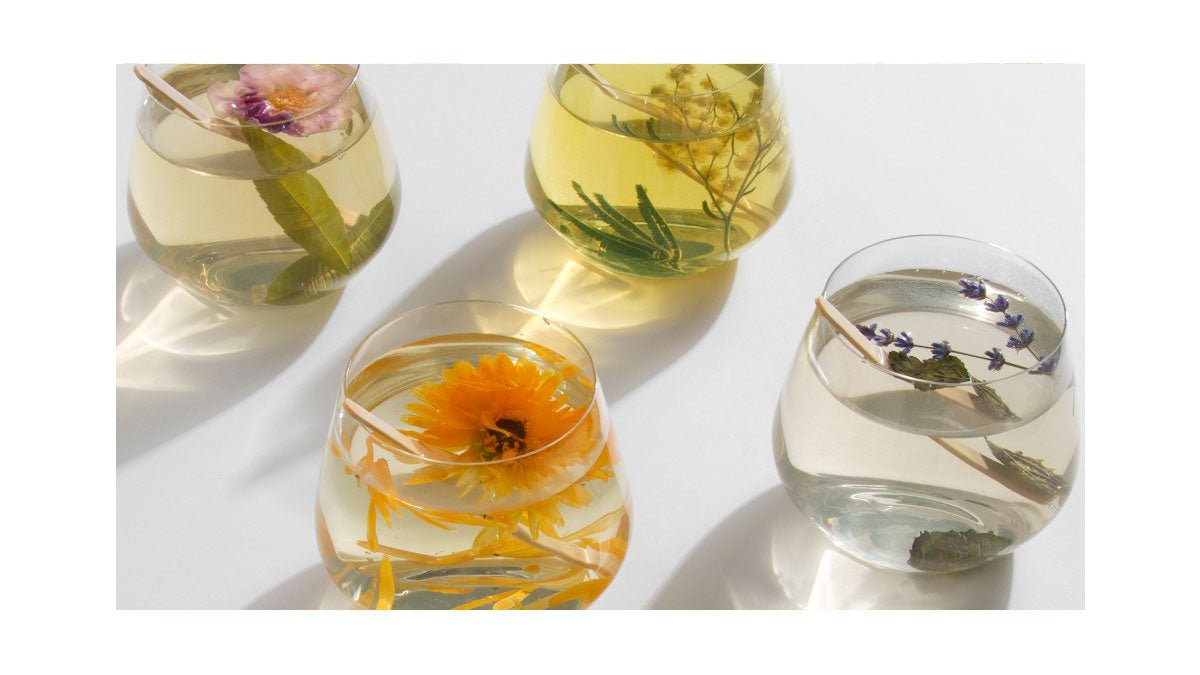 Sunday Edition #9 Charlotte Baverel from Fleurs D'Hiver - anatomē