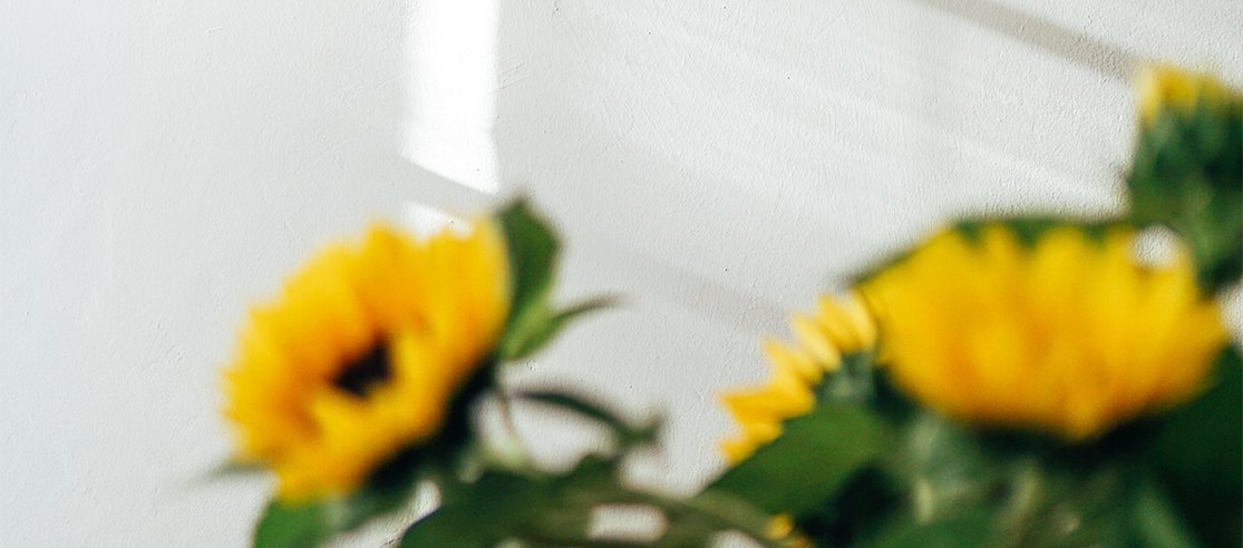 Team anatomē's top self-care tips - anatomē