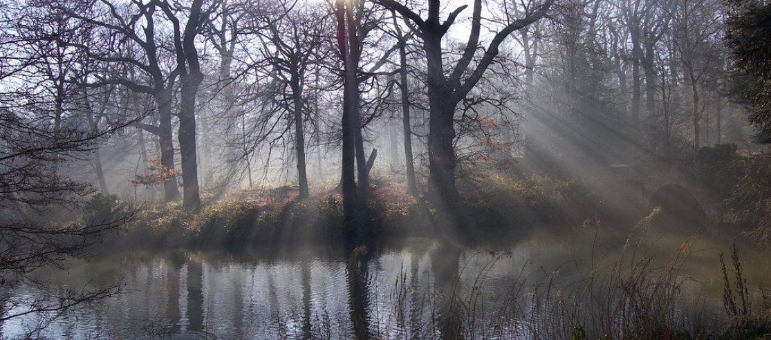 The benefits of cold-water swimming - anatomē