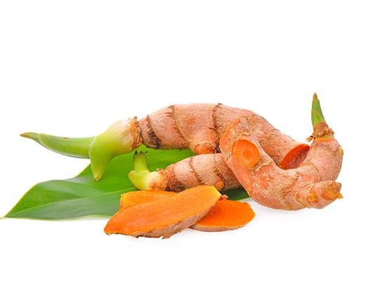 Viet Plai - anatomē