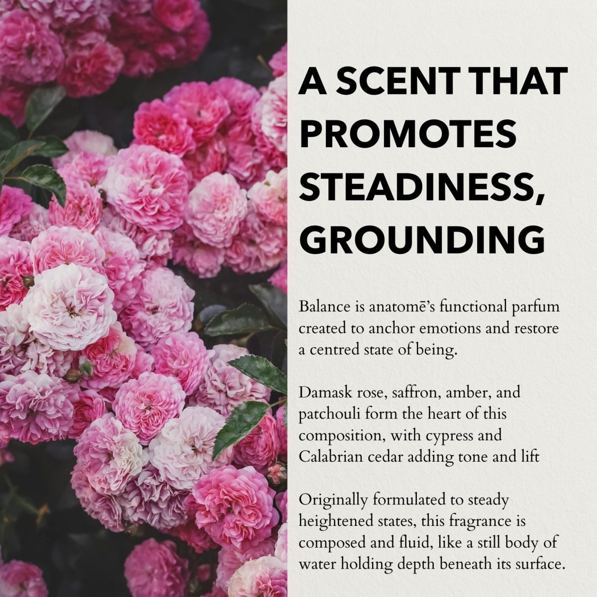 Balance Fine Functional Parfum Travel 10ml - anatomē