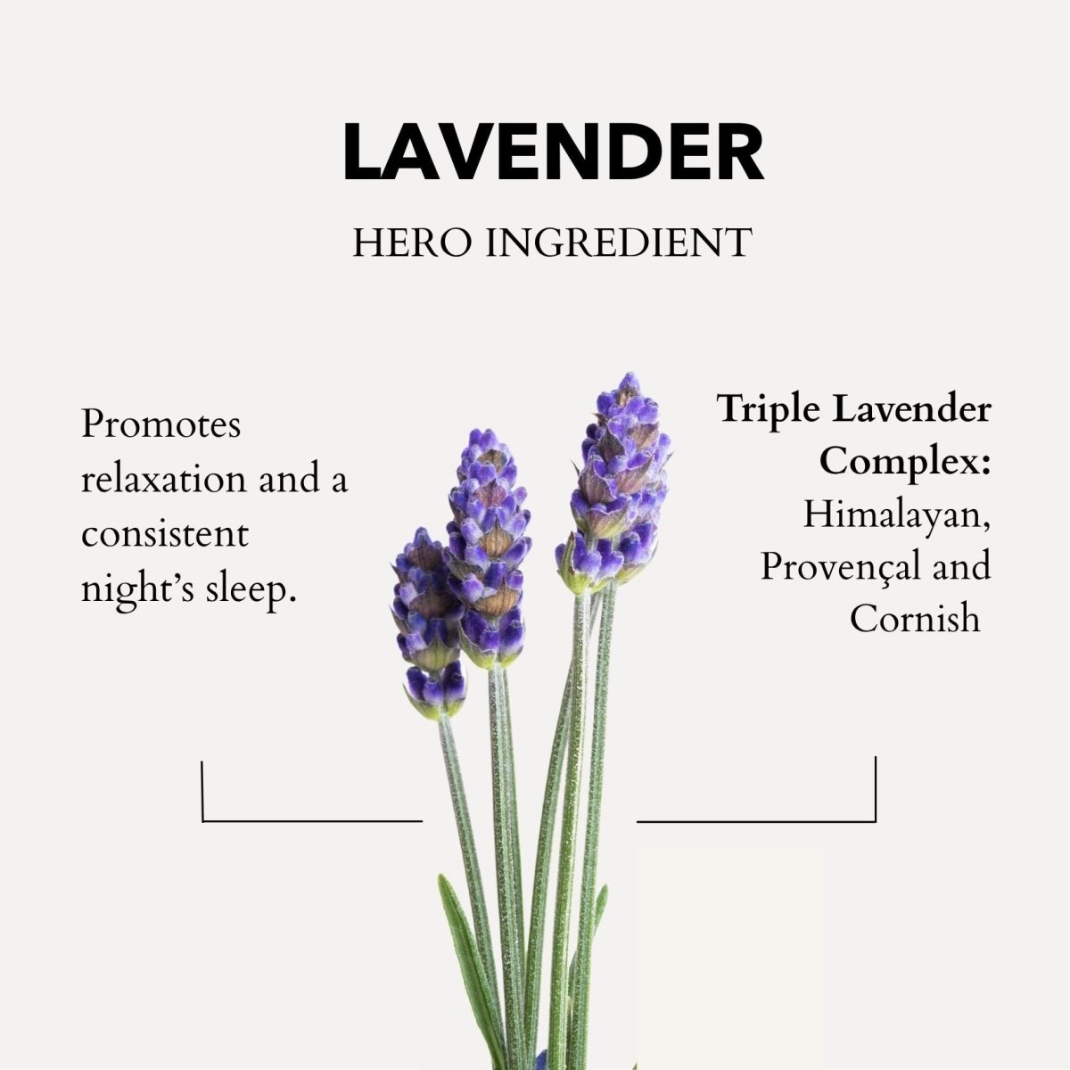 Cornish Lavender Pillow Spray - anatomē