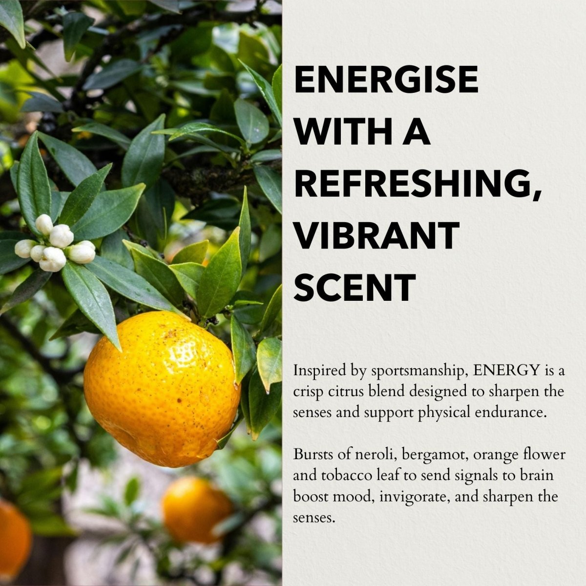 Energy Functional Parfum 10ml - anatomē