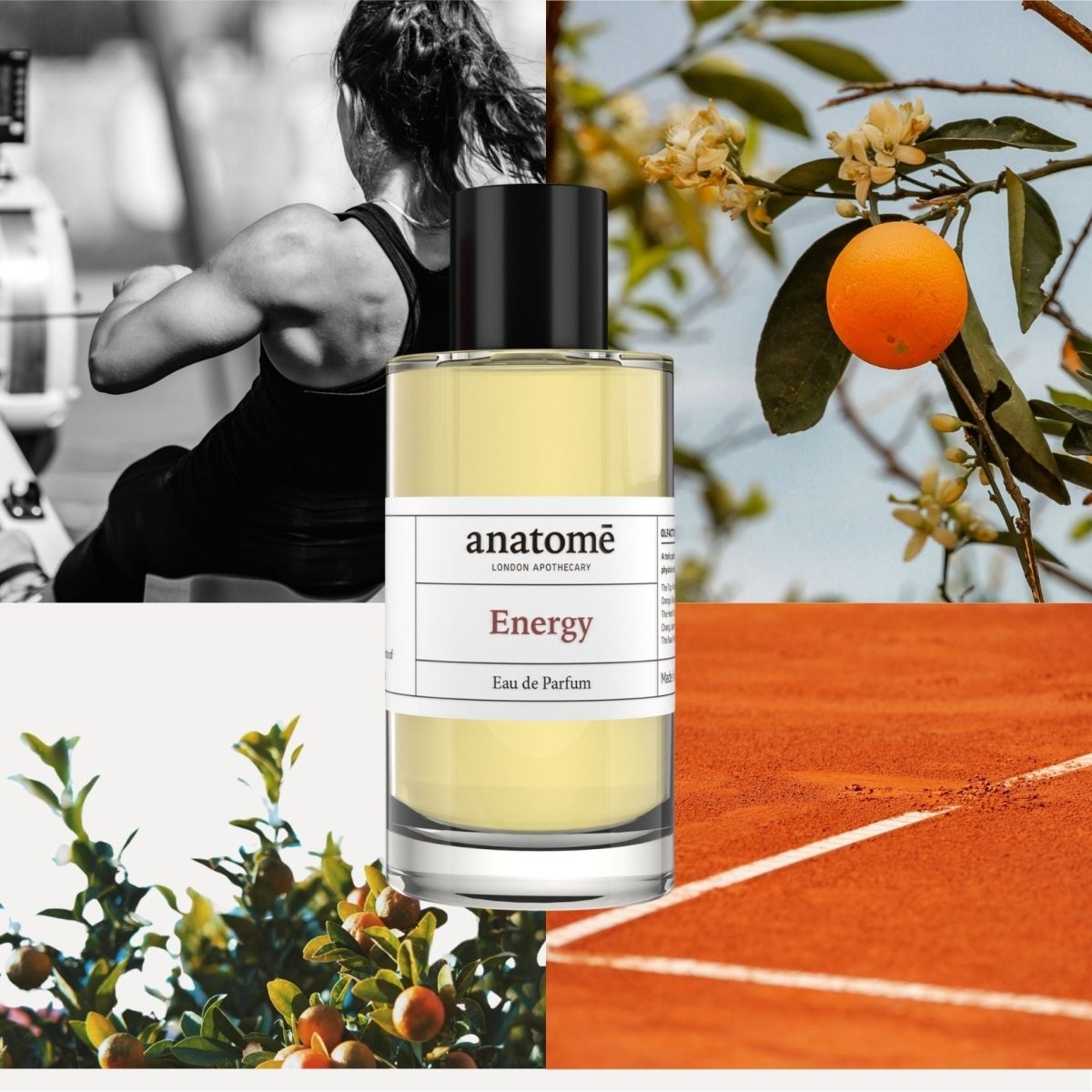 Energy Functional Parfum - anatomē