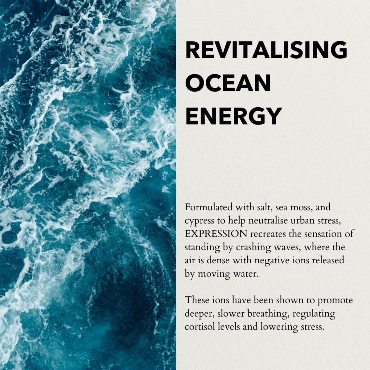 Expression Functional Parfum Travel 10ml - anatomē