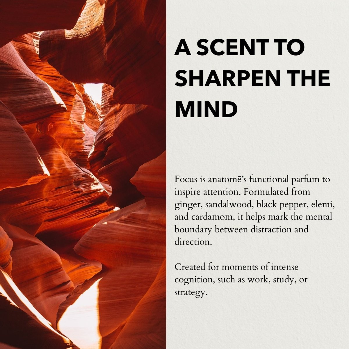 Focus Functional Parfum Travel 10ml - anatomē