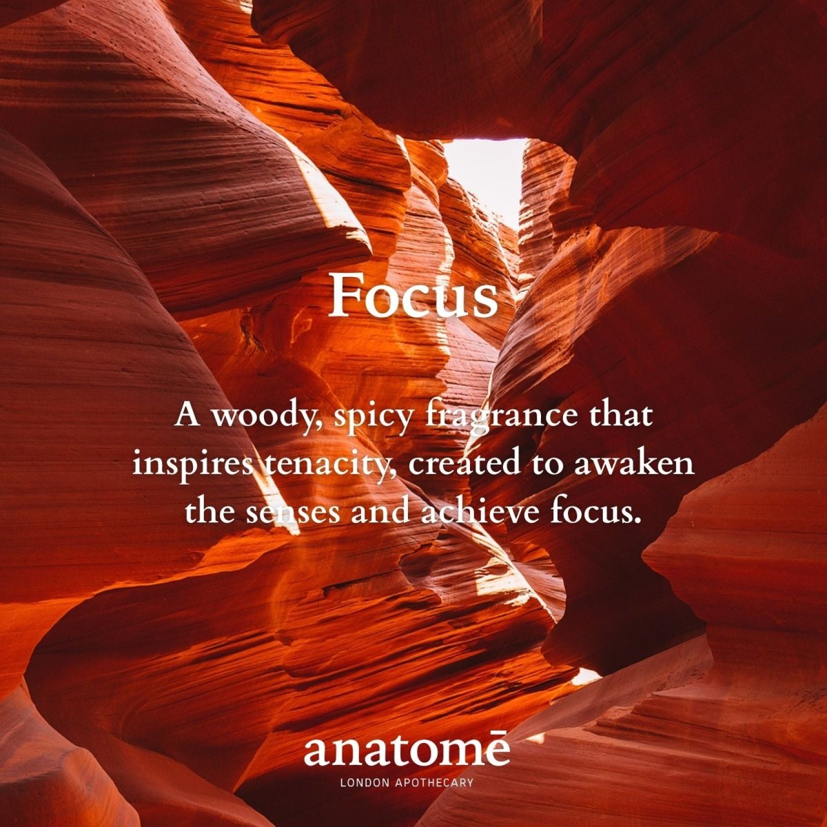 Focus Functional Parfum Travel 10ml - anatomē
