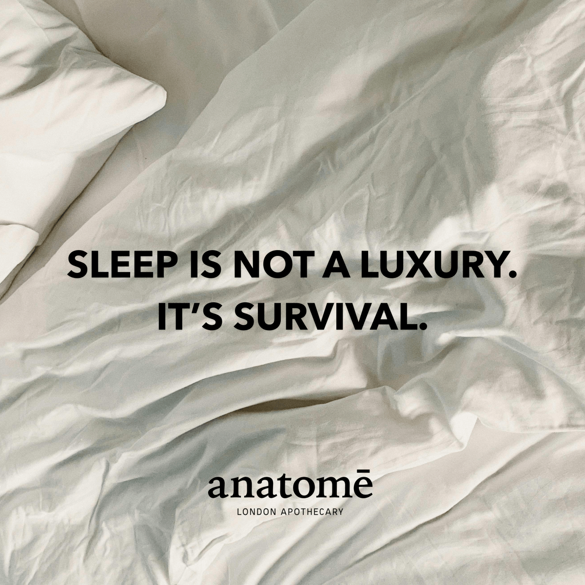 Cornish Lavender Pillow Spray + Refill Bundle - anatomē