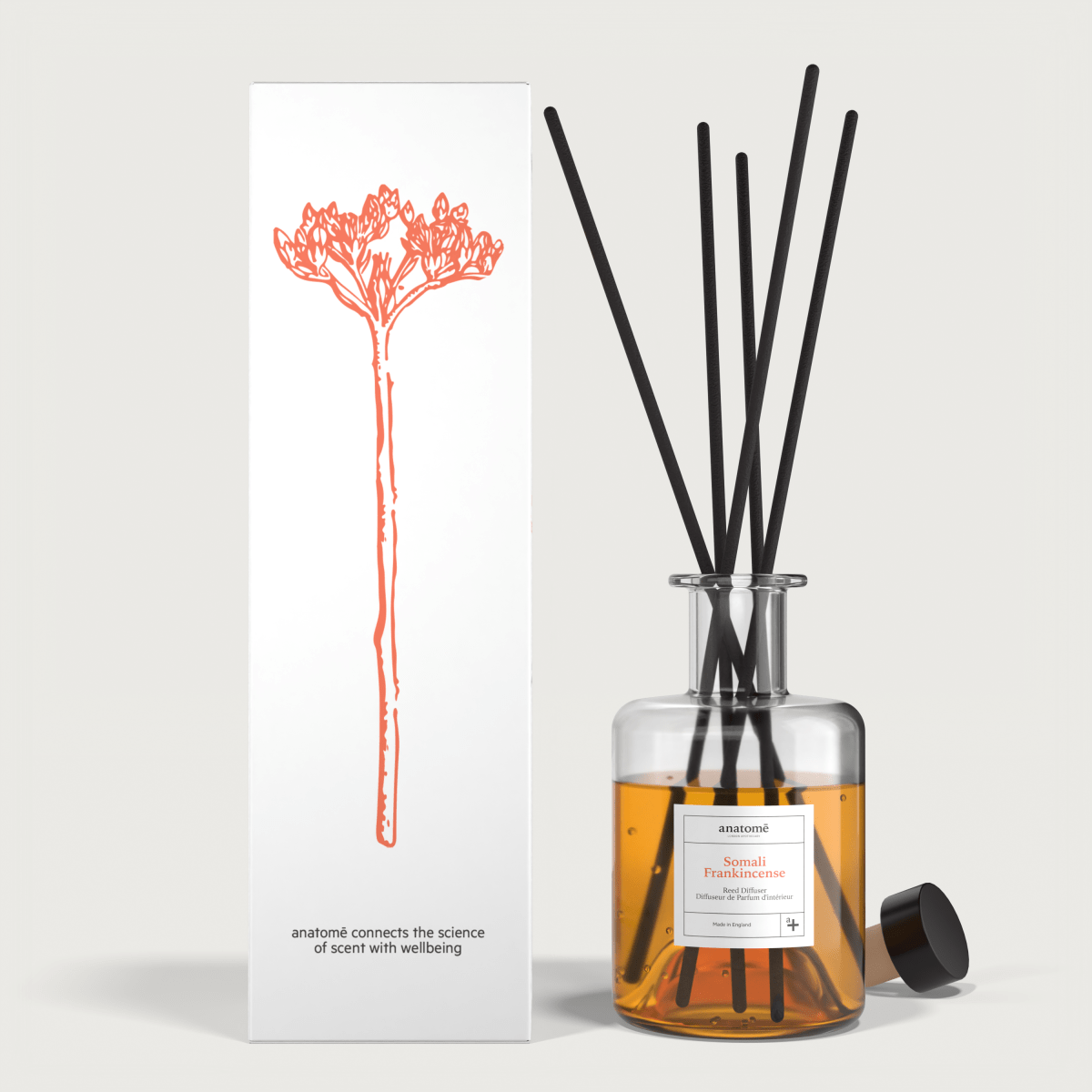 Somali Frankincense Essential Oil Reed Diffuser - anatomē
