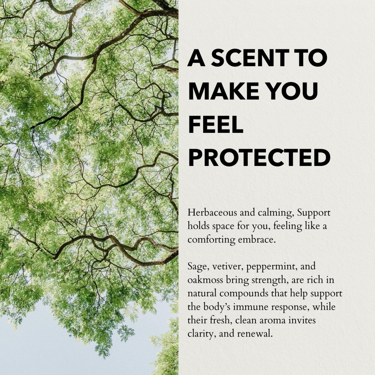 Support Functional Parfum 10ml - anatomē