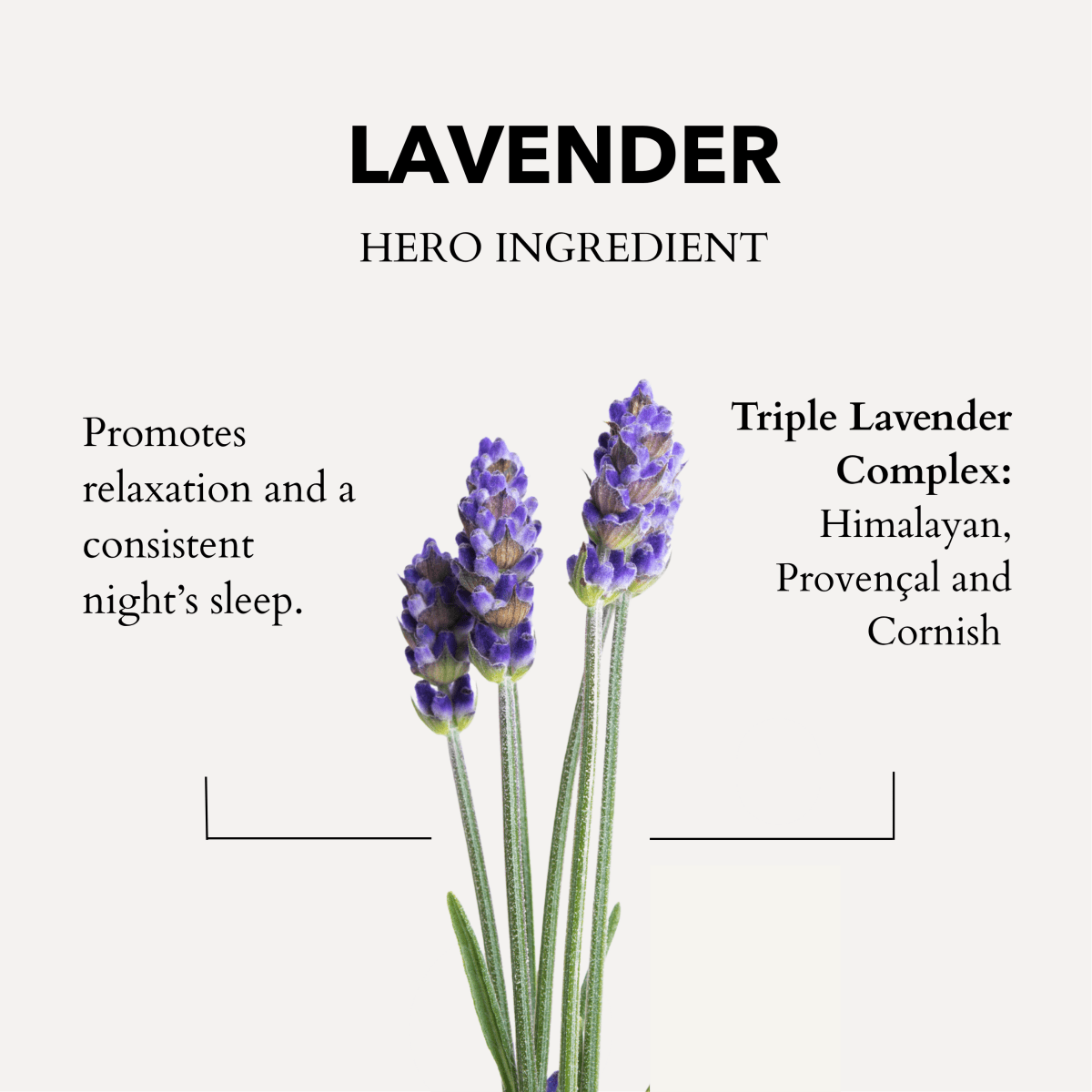 Cornish Lavender Pillow Spray + Refill Bundle - anatomē