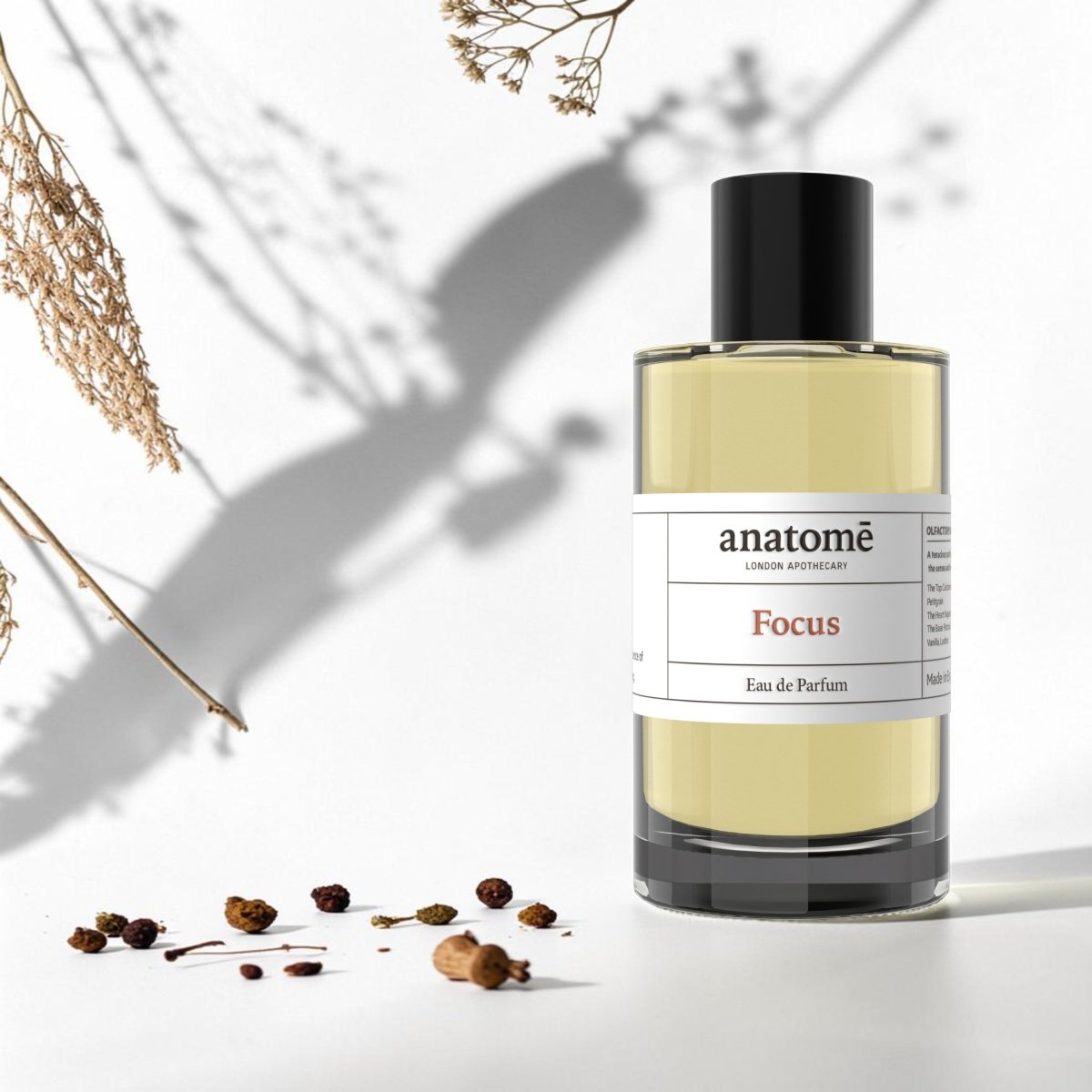 Focus Eau de Parfum | Sharpen Focus & Awaken the Senses 100ml - anatomē