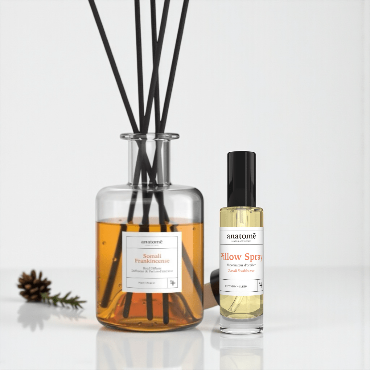 Somali Frankincense Essential Oil Reed Diffuser & Room Scent Gift Box - anatomē