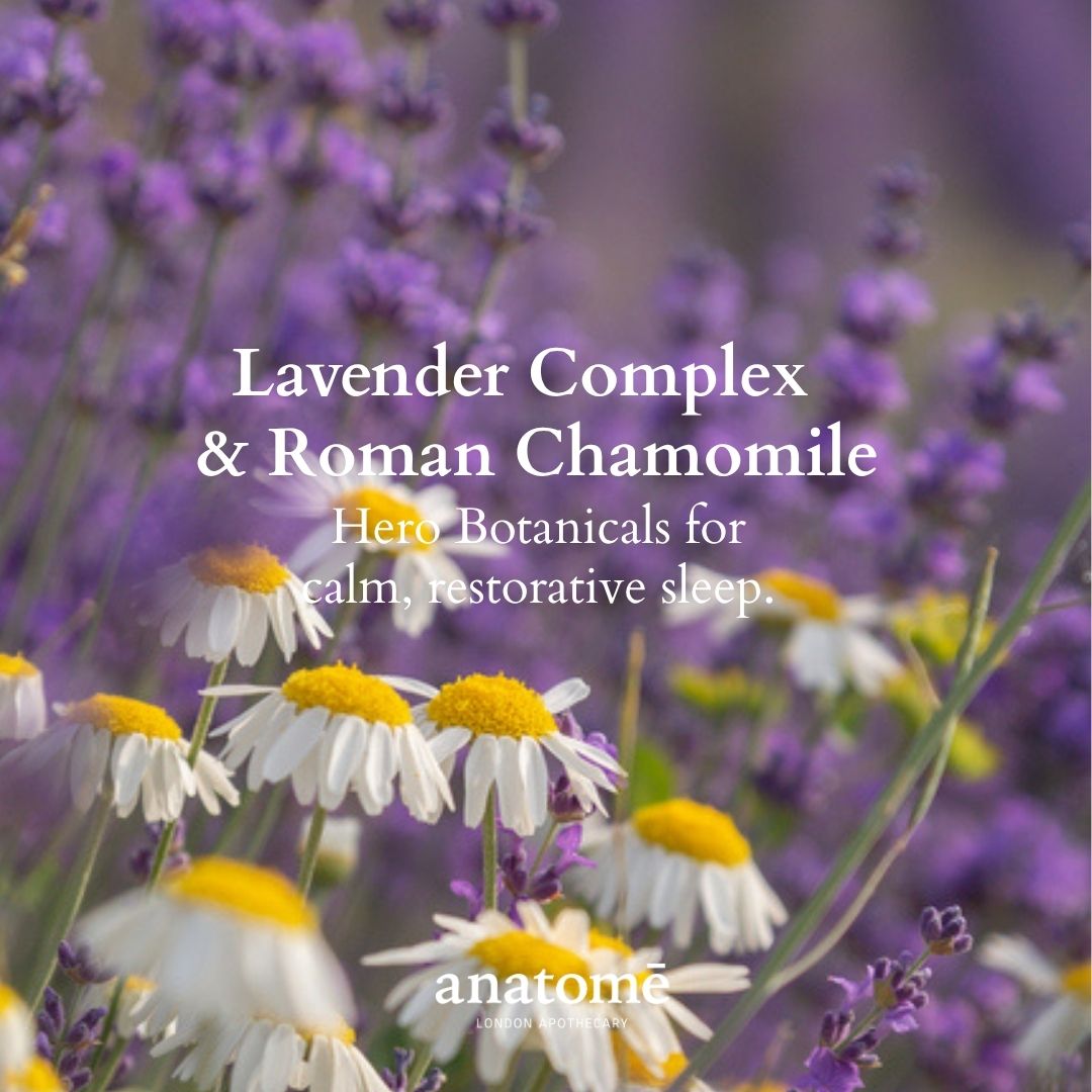 The Sleep Gift Practice - Roman Chamomile - anatomē