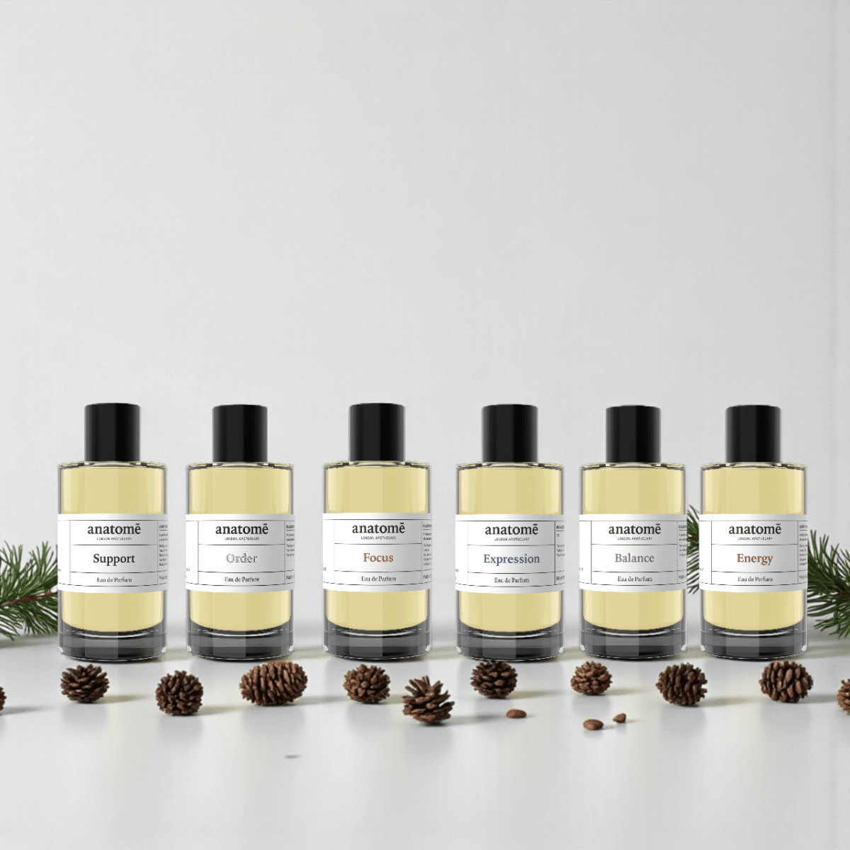 Wellbeing Hamper: The anatome parfum Collection - anatomē