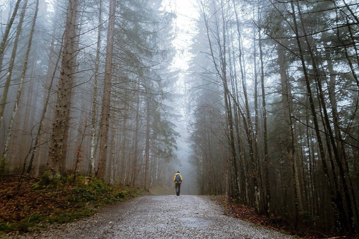 10 tips for revitalising your daily walk - anatomē