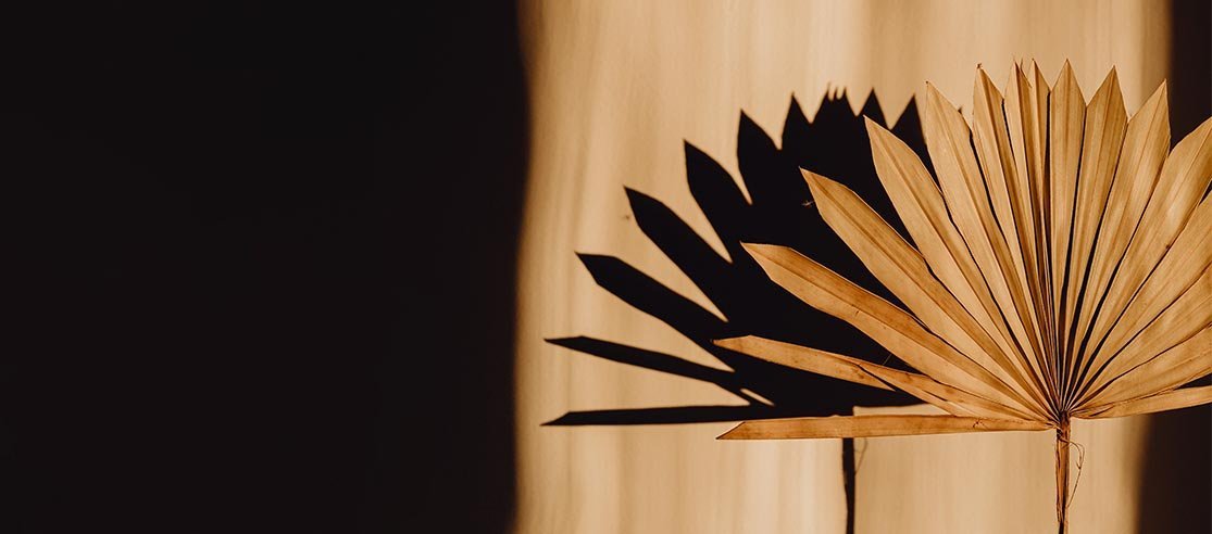 5 unique stress remedies to try at home - anatomē