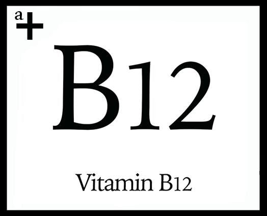 Vitamin B12 - anatomē