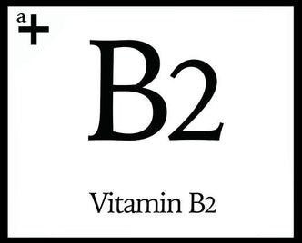 Vitamin B2 - anatomē