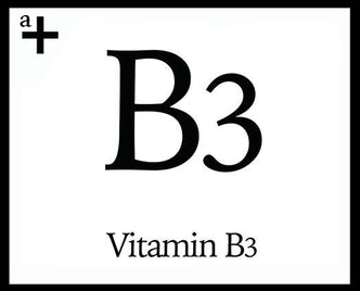 Vitamin B3 - anatomē