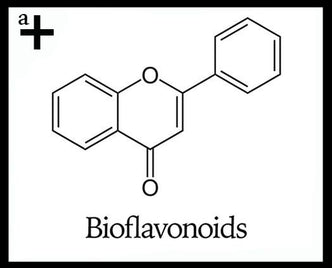 Bioflavonoids - anatomē