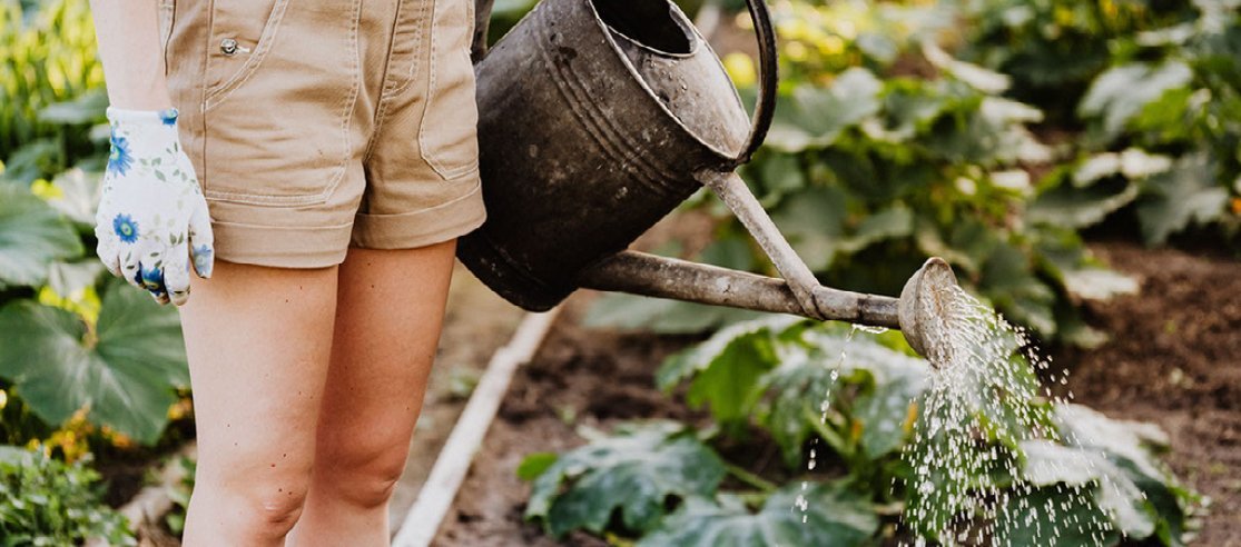 Gardening for wellness - anatomē