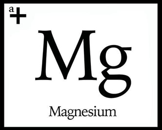 Magnesium - anatomē