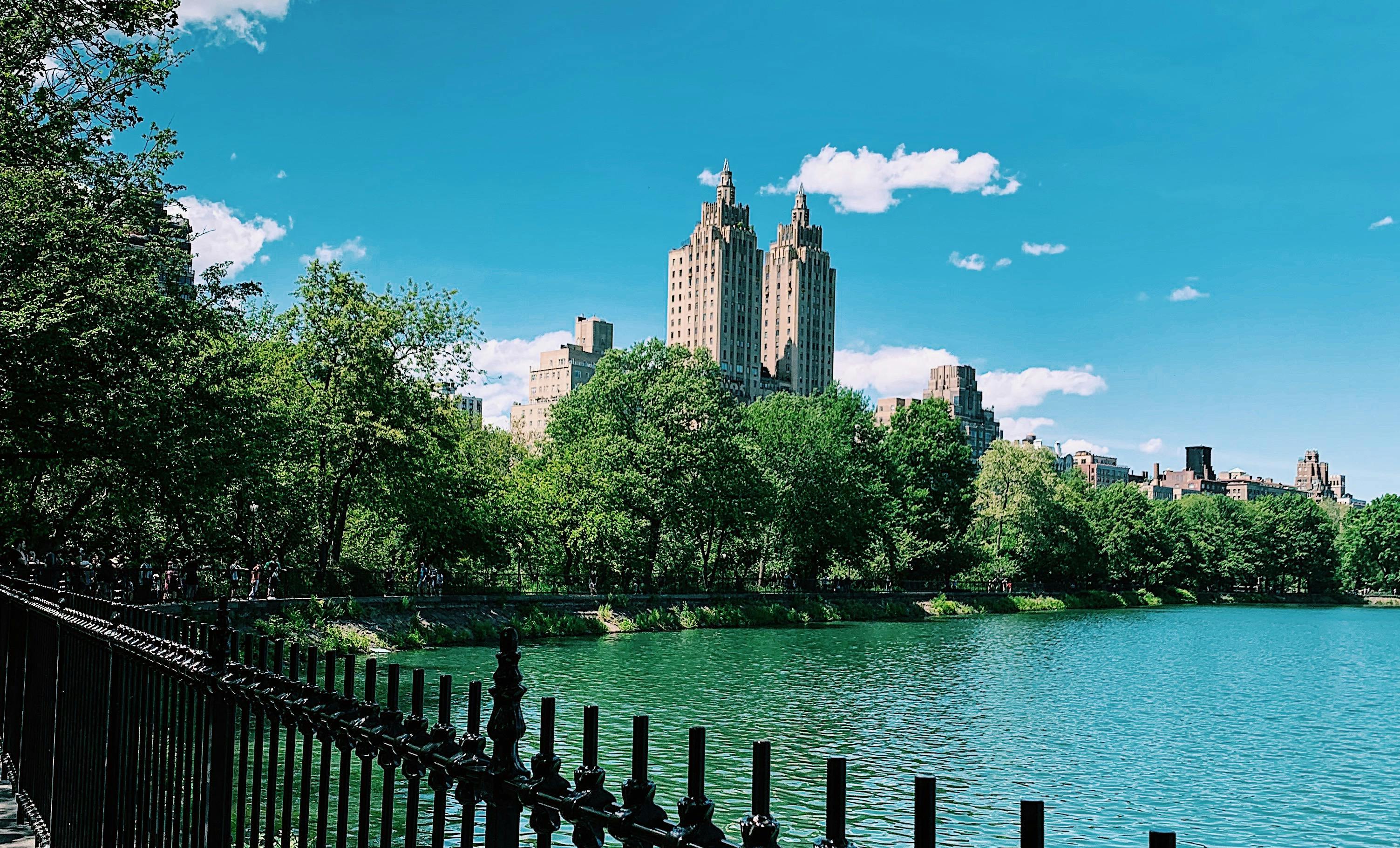 From New York to London: 6 Urban Parks to Reconnect with Nature