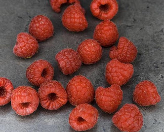 Raspberries - anatomē