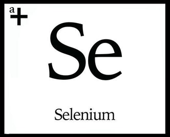 Selenium - anatomē