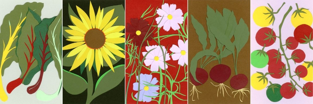 Seed cards by Miranda Sinclair