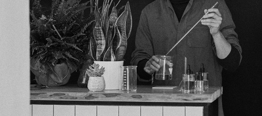 Spring + summer workshop series - anatomē