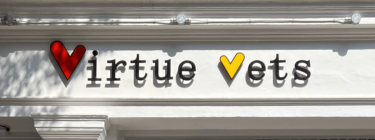 Sunday Edition: Ninad | Virtue Vets Marylebone - anatomē