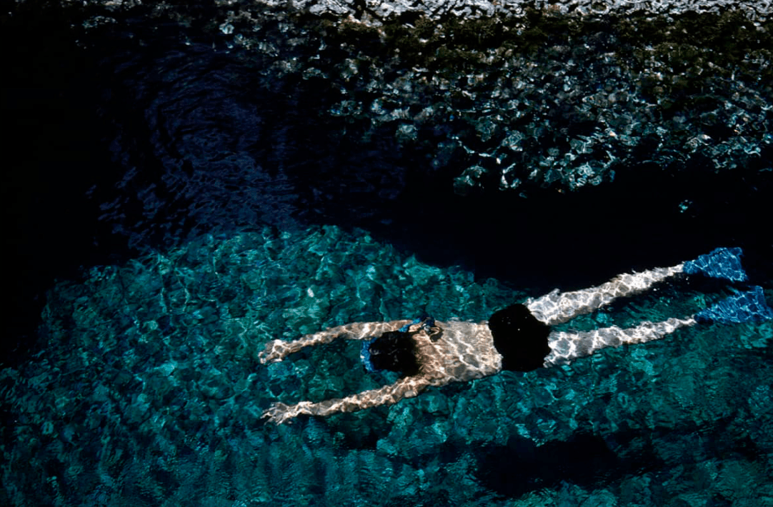 Sunday Edition: Splash, Why Water Moves Us - anatomē