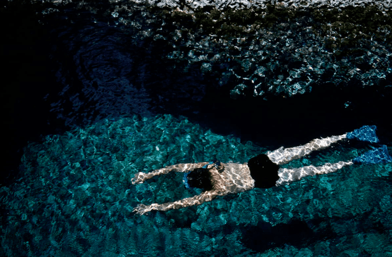 Sunday Edition: Splash, Why Water Moves Us - anatomē