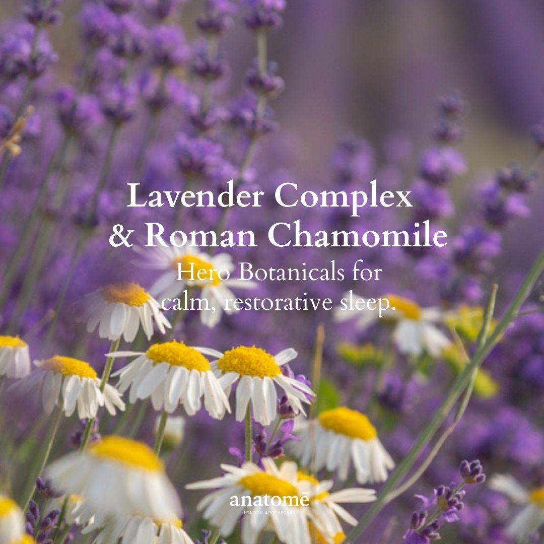 Restless Mind Sleep Oil | Roman Chamomile