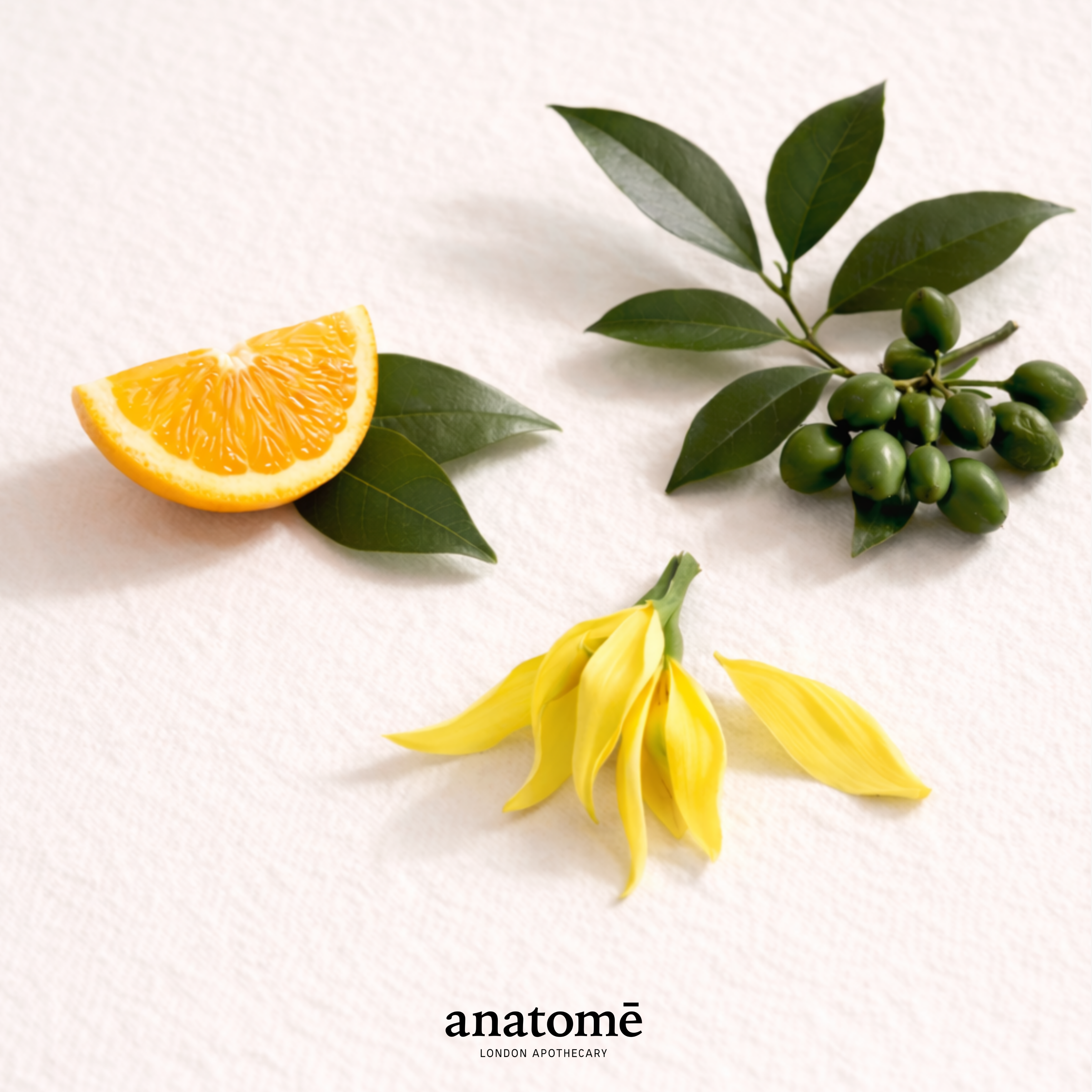 Energise + Awake Morning Shower Gel 300ml