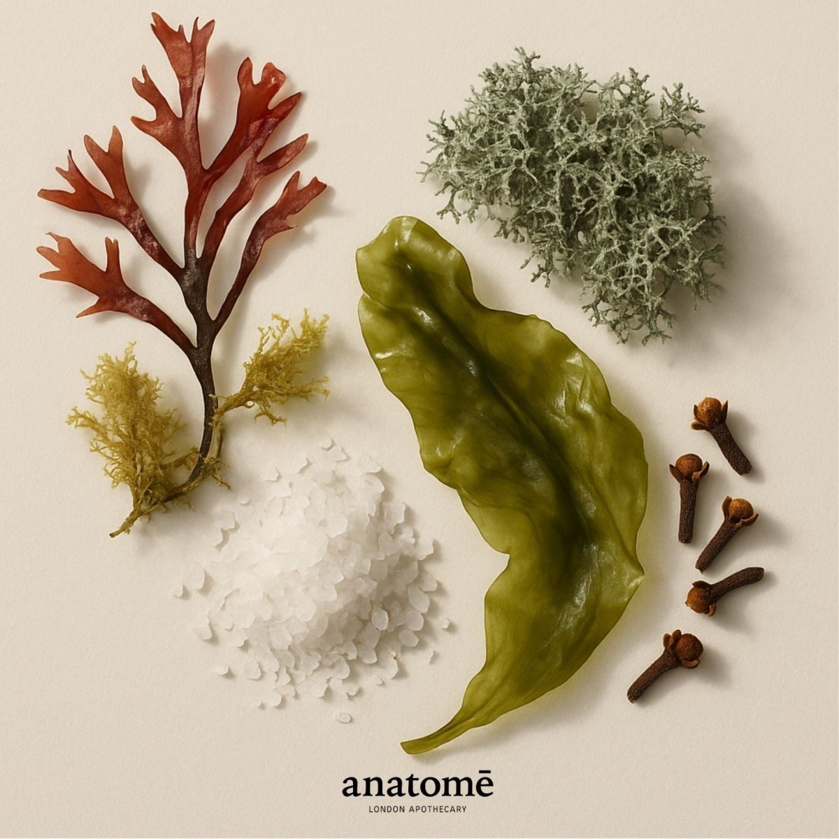 Expression Functional Parfum Travel 10ml - anatomē