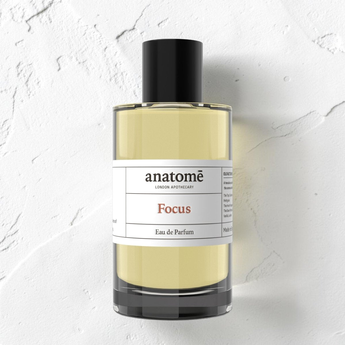 Focus Eau de Parfum | Sharpen Focus & Awaken the Senses 100ml - anatomē