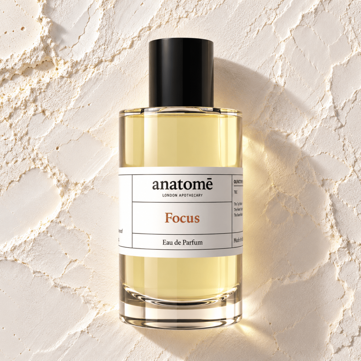 Focus Eau de Parfum | Sharpen Focus & Awaken the Senses 100ml - anatomē
