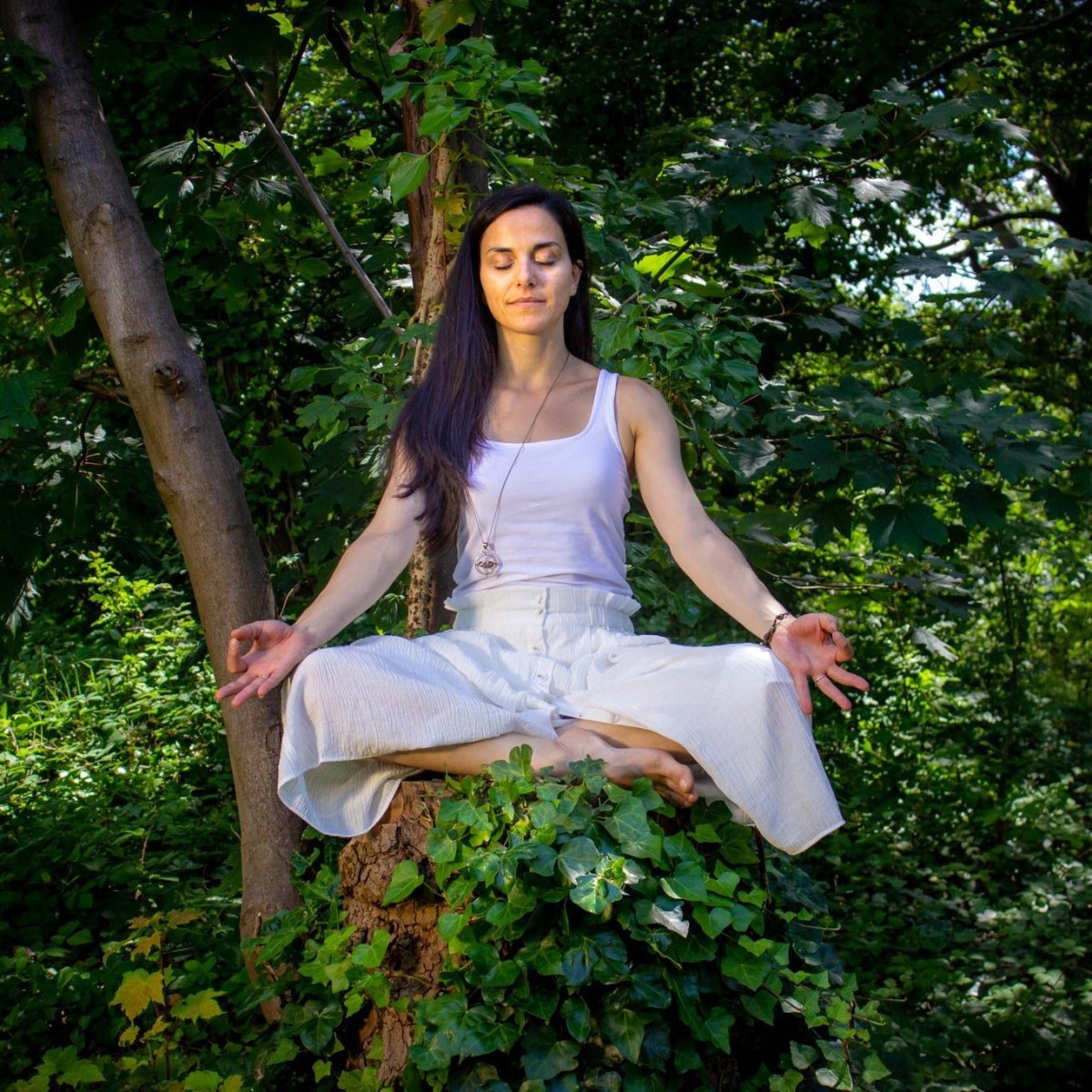 Fragrance in Motion: A Journey Through Emotion - anatomē