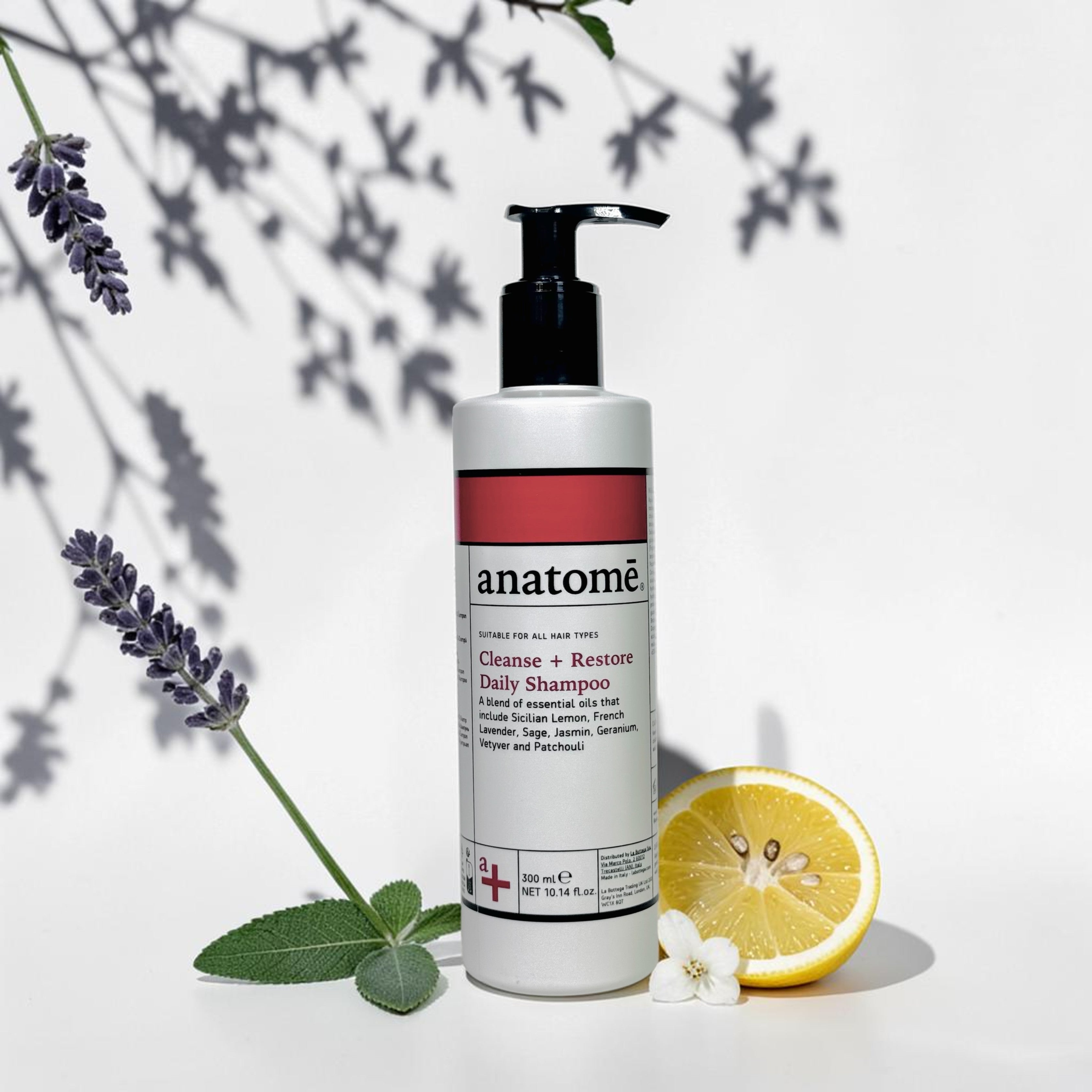 Daily Cleanse +Restore Shampoo 300ml