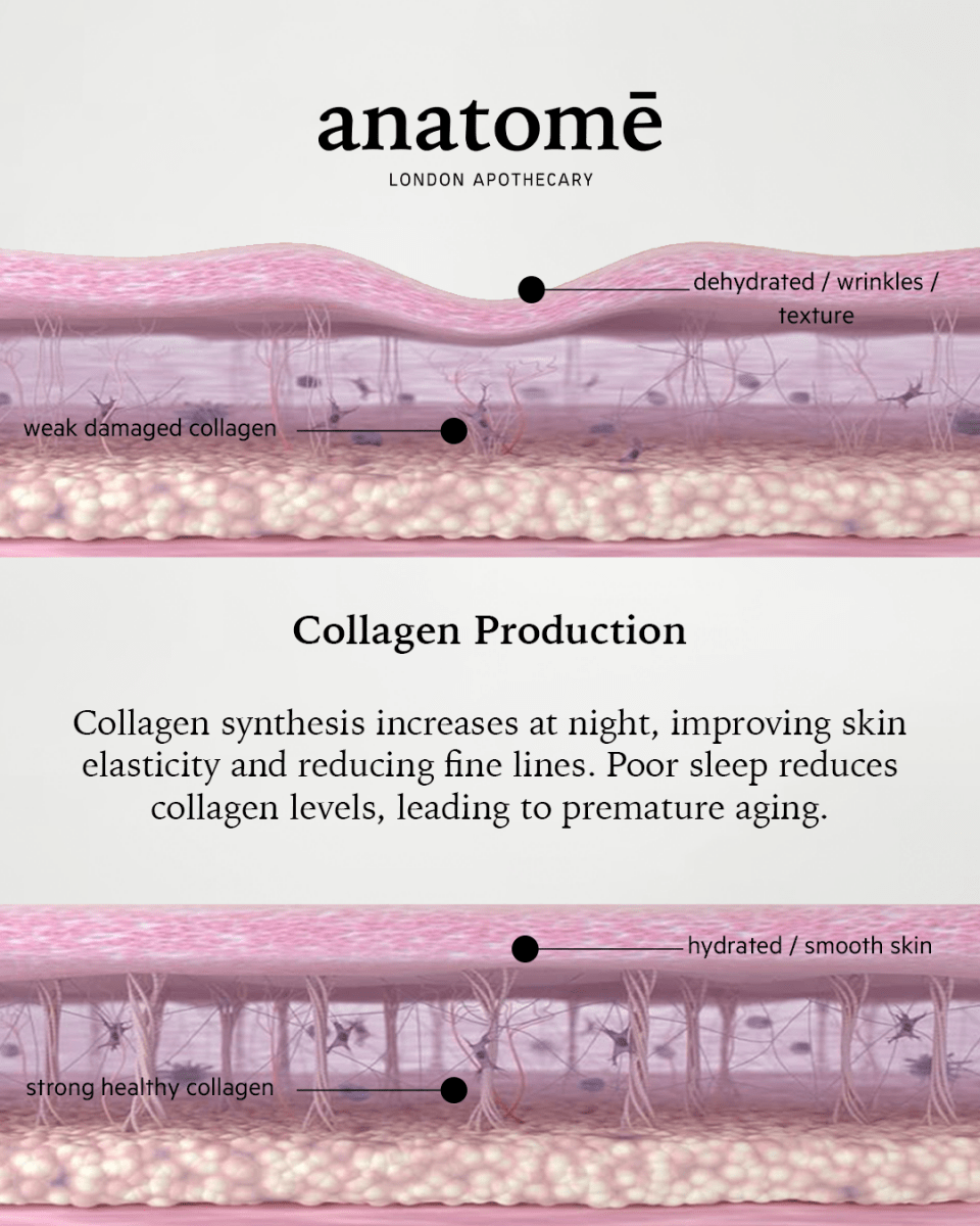 Illuminating Rose - hip, Grape Seed & Avocado Face Oil - anatomē