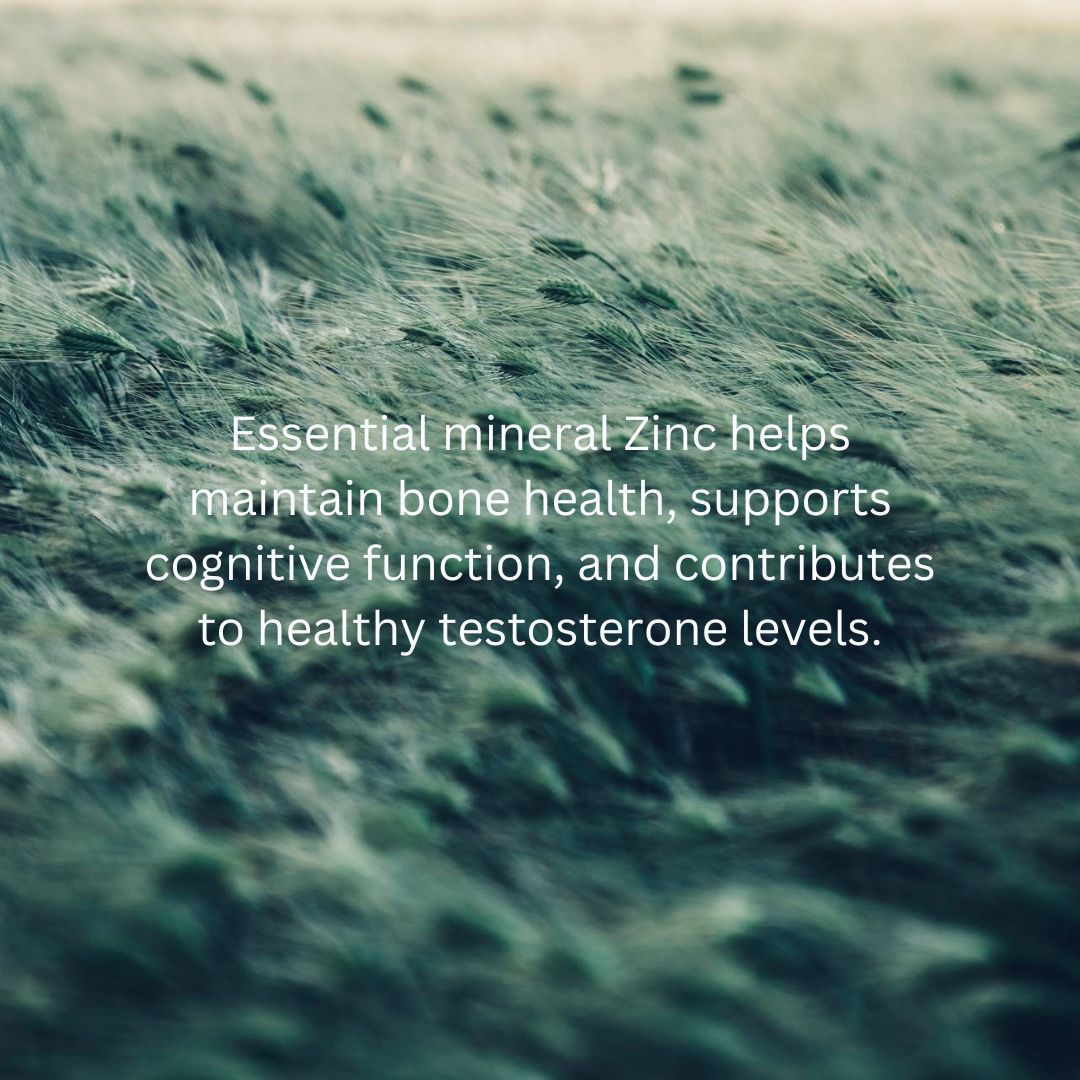 Men's Health Essentials TRIO - anatomē